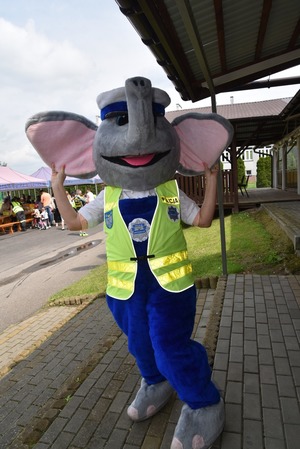 Słoń policyjny Policeusz