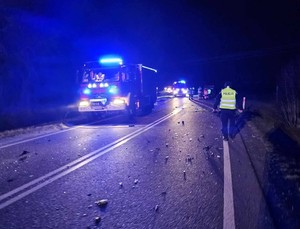 Miejsce zdarzenia drogowego karetka pogotowia, straż pożarna oraz policja