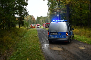Wspólne działania wszystkich służb na terenie kompleksu leśnego