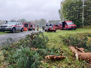 Wspólne działania wszystkich służb na terenie kompleksu leśnego