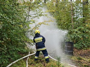 Wspólne działania wszystkich służb na terenie kompleksu leśnego