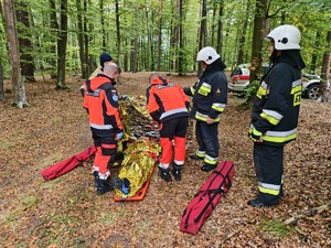 Wspólne działania wszystkich służb na terenie kompleksu leśnego
