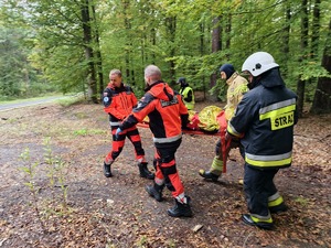Wspólne działania wszystkich służb na terenie kompleksu leśnego