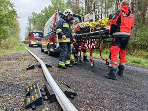 Wspólne działania wszystkich służb na terenie kompleksu leśnego
