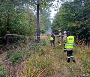 Wspólne działania wszystkich służb na terenie kompleksu leśnego