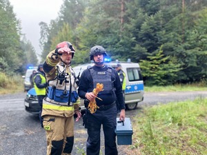 Wspólne działania wszystkich służb na terenie kompleksu leśnego