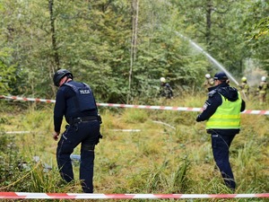 Wspólne działania wszystkich służb na terenie kompleksu leśnego