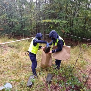 Wspólne działania wszystkich służb na terenie kompleksu leśnego