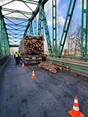 Ciężarówka z rozsypanym drzewem blokuje ruch na moście w Tryńczy