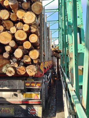 Ciężarówka z rozsypanym drzewem blokuje ruch na moście w Tryńczy