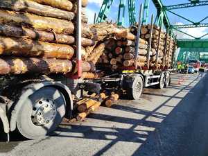 Ciężarówka z rozsypanym drzewem blokuje ruch na moście w Tryńczy