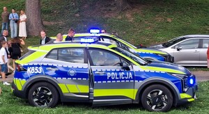 Policjanci podczas pikniku z dziećmi